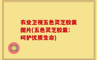 农业卫视五色灵芝胶囊图片(五色灵芝胶囊：呵护优质生命)