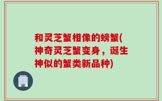 和灵芝蟹相像的螃蟹(神奇灵芝蟹变身，诞生神似的蟹类新品种)