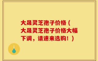 大晟灵芝孢子价格 (大晟灵芝孢子价格大幅下调，请速来选购！)