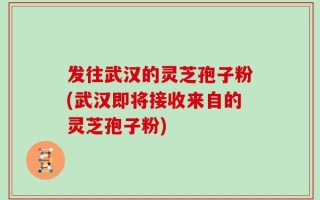 发往武汉的灵芝孢子粉(武汉即将接收来自的灵芝孢子粉)