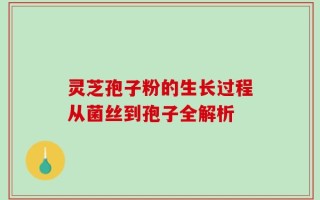 灵芝孢子粉的生长过程从菌丝到孢子全解析