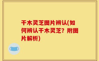 干木灵芝图片辨认(如何辨认干木灵芝？附图片解析)