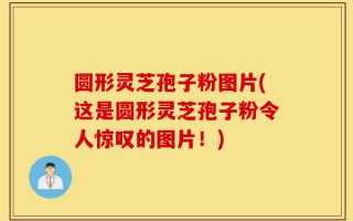 圆形灵芝孢子粉图片(这是圆形灵芝孢子粉令人惊叹的图片！)