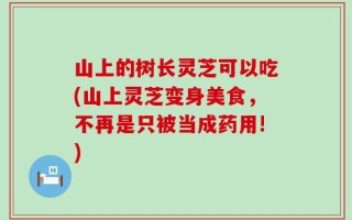 山上的树长灵芝可以吃(山上灵芝变身美食，不再是只被当成药用!)