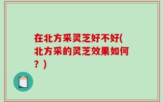 在北方采灵芝好不好(北方采的灵芝效果如何？)