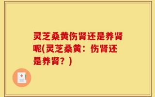 灵芝桑黄伤肾还是养肾呢(灵芝桑黄：伤肾还是养肾？)