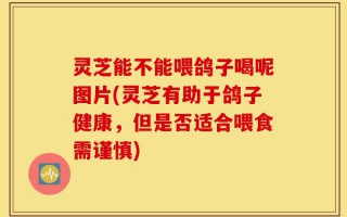 灵芝能不能喂鸽子喝呢图片(灵芝有助于鸽子健康，但是否适合喂食需谨慎)
