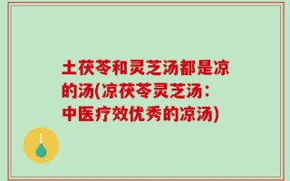 土茯苓和灵芝汤都是凉的汤(凉茯苓灵芝汤：中医疗效优秀的凉汤)