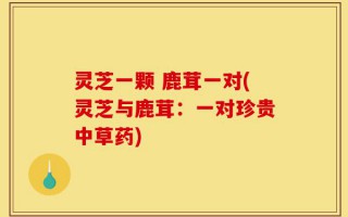 灵芝一颗 鹿茸一对(灵芝与鹿茸：一对珍贵中草药)