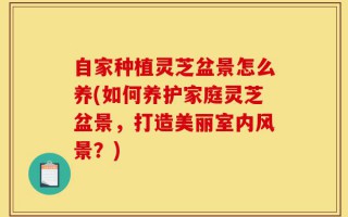 自家种植灵芝盆景怎么养(如何养护家庭灵芝盆景，打造美丽室内风景？)