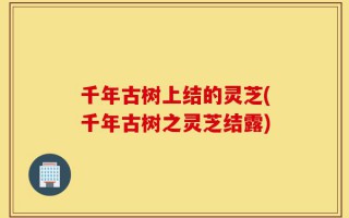 千年古树上结的灵芝(千年古树之灵芝结露)