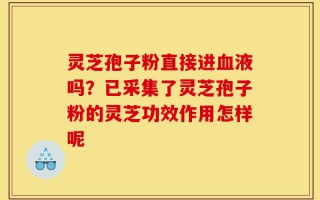 灵芝孢子粉直接进血液吗？已采集了灵芝孢子粉的灵芝功效作用怎样呢