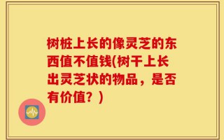 树桩上长的像灵芝的东西值不值钱(树干上长出灵芝状的物品，是否有价值？)