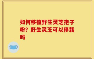 如何移植野生灵芝孢子粉？野生灵芝可以移栽吗