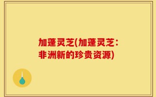 加蓬灵芝(加蓬灵芝：非洲新的珍贵资源)