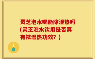 灵芝泡水喝能除湿热吗(灵芝泡水饮用是否真有祛湿热功效？)