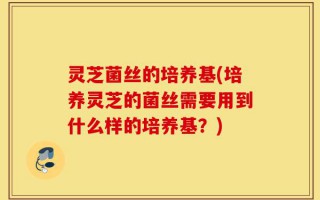 灵芝菌丝的培养基(培养灵芝的菌丝需要用到什么样的培养基？)