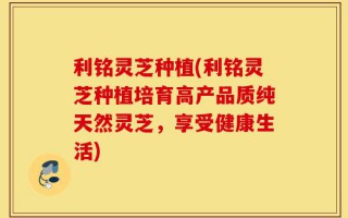 利铭灵芝种植(利铭灵芝种植培育高产品质纯天然灵芝，享受健康生活)
