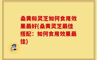 桑黄和灵芝如何食用效果最好(桑黄灵芝最佳搭配：如何食用效果最佳)