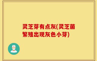 灵芝芽有点灰(灵芝菌繁殖出现灰色小芽)
