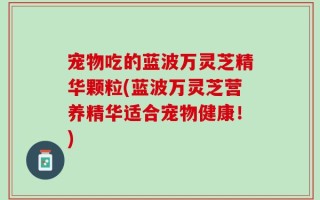 宠物吃的蓝波万灵芝精华颗粒(蓝波万灵芝营养精华适合宠物健康！)