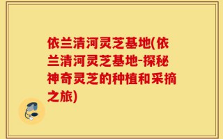 依兰清河灵芝基地(依兰清河灵芝基地-探秘神奇灵芝的种植和采摘之旅)
