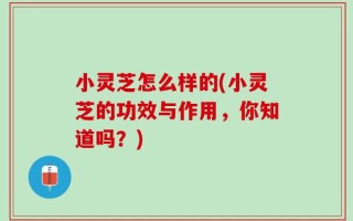 小灵芝怎么样的(小灵芝的功效与作用，你知道吗？)