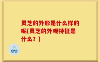 灵芝的外形是什么样的呢(灵芝的外观特征是什么？)