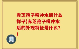 赤芝孢子粉冲水后什么样子(赤芝孢子粉冲水后的外观特征是什么？)