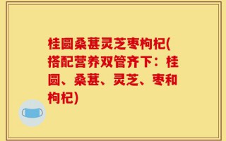 桂圆桑葚灵芝枣枸杞(搭配营养双管齐下：桂圆、桑葚、灵芝、枣和枸杞)