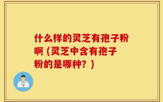 什么样的灵芝有孢子粉啊 (灵芝中含有孢子粉的是哪种？)
