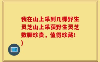 我在山上采到几棵野生灵芝山上采获野生灵芝数颗珍贵，值得珍藏！)