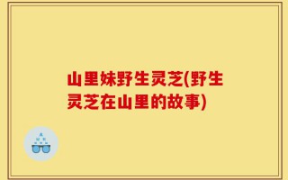 山里妹野生灵芝(野生灵芝在山里的故事)
