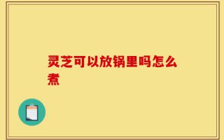 灵芝可以放锅里吗怎么煮