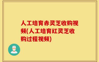 人工培育赤灵芝收购视频(人工培育红灵芝收购过程视频)