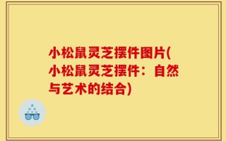 小松鼠灵芝摆件图片(小松鼠灵芝摆件：自然与艺术的结合)