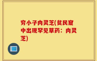 穷小子肉灵芝(贫民窟中出现罕见草药：肉灵芝)