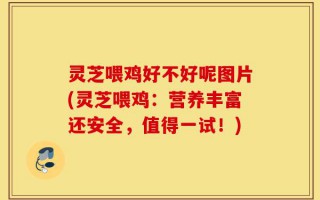 灵芝喂鸡好不好呢图片(灵芝喂鸡：营养丰富还安全，值得一试！)