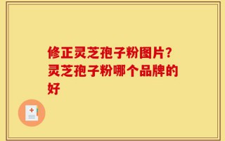 修正灵芝孢子粉图片？灵芝孢子粉哪个品牌的好