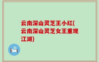 云南深山灵芝王小红(云南深山灵芝女王重现江湖)