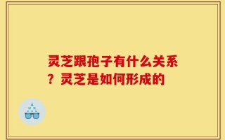 灵芝跟孢子有什么关系？灵芝是如何形成的