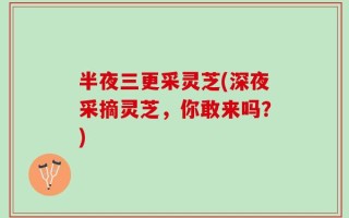 半夜三更采灵芝(深夜采摘灵芝，你敢来吗？)