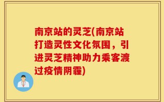 南京站的灵芝(南京站打造灵性文化氛围，引进灵芝精神助力乘客渡过疫情阴霾)