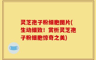 灵芝孢子粉细胞图片(生动细致！赏析灵芝孢子粉细胞惊奇之美)