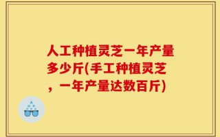 人工种植灵芝一年产量多少斤(手工种植灵芝，一年产量达数百斤)