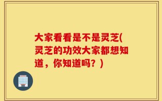 大家看看是不是灵芝(灵芝的功效大家都想知道，你知道吗？)