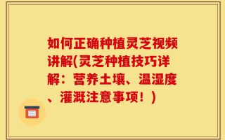 如何正确种植灵芝视频讲解(灵芝种植技巧详解：营养土壤、温湿度、灌溉注意事项！)