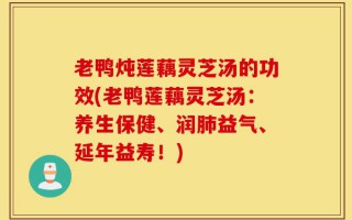 老鸭炖莲藕灵芝汤的功效(老鸭莲藕灵芝汤：养生保健、润肺益气、延年益寿！)