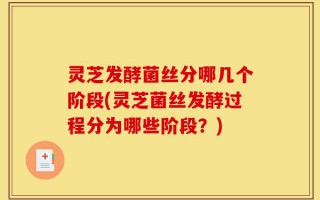 灵芝发酵菌丝分哪几个阶段(灵芝菌丝发酵过程分为哪些阶段？)