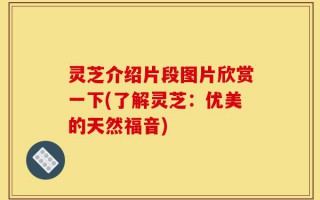 灵芝介绍片段图片欣赏一下(了解灵芝：优美的天然福音)